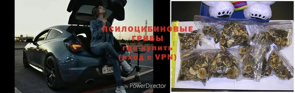 каннабис Пересвет