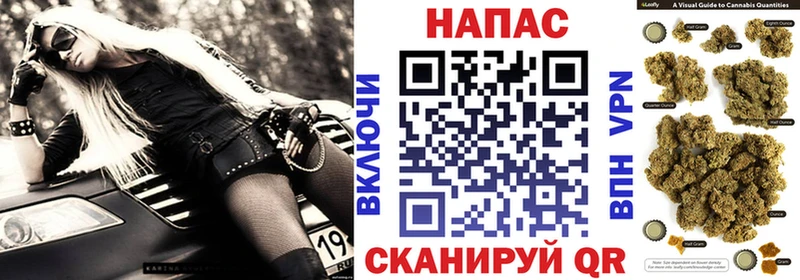 hydra как зайти  как найти наркотики  Болохово  Шишки марихуана тримм 